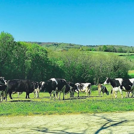 « Le Vieux Hangar » Gite A La Ferme Truffe Exterior foto